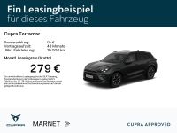 Cupra Terramar - Vorschau Bild 2