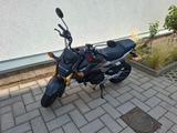 Honda MSX 125 Sehr gepflegt  - Offers