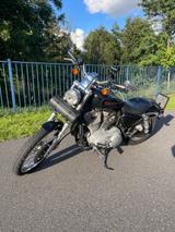Harley-Davidson XL 883 C Sportster mit Miller Abgasanlage - HARLEY-DAVIDSON 883 SPORTSTER