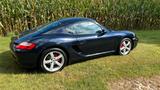 Porsche Cayman S  Top Zustand - Porsche Cayenne: Sportwagen