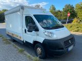Fiat Ducato Imbiss, TÜV, Neue Geräte, Döne... - : Imbiss