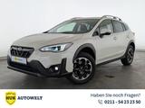 Subaru XV 1.6i Edition Exclusive Plus LED+CARPLAY+ACC+ - Subaru aus 2024