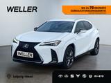 Lexus UX 250h (E-FOUR) F SPORT *Matrix*HUD*CAM*CarPlay - Lexus Gebrauchtwagen in Leipzig