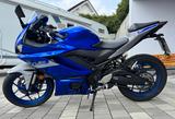 Yamaha YZF-R3 - SPORTLER VON 251 BIS 500 CCM