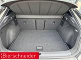 Cupra Formentor 2.0 TDI DSG 4Drive LED NAVI AHK ACC SH - Cupra mit Diesel-Antrieb