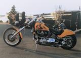Harley-Davidson Softail Custom Special 1340 (FXST) - HARLEY-DAVIDSON 1996
