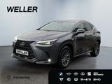 Lexus NX 450h+ E-FOUR Executive Line *AHK*360°*el Heck - graue Lexus NX 450h