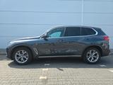 BMW X5 xDrive 30d X Line (Laser/Panorama/Head-Up) - gebrauchte BMW X5 aus dem Jahr 2019