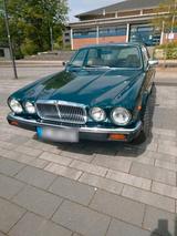 Jaguar Schnäppchen Wertanlage Jaguar XJ Oldtimer ... - : Schnäppchen