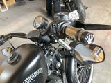 Harley-Davidson Sportster 883 Iron - Angebote entsprechen deinen Suchkriterien