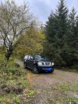 Nissan Navara D40 - Nissan Navara: D 40