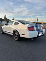 Ford Mustang Shelby GT 500 SVT - Ford: Svt