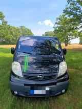 Opel Vivaro Life Westfalia Camper - Opel Vivaro: Westfalia