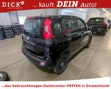 Fiat Panda 1.2 Easy KLIMA/8Fach - gebrauchte Fiat Panda aus dem Jahr 2020