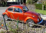 Volkswagen Käfer 1302 Oldtimer TOP Zustand  - VW Käfer mit Schiebedach
