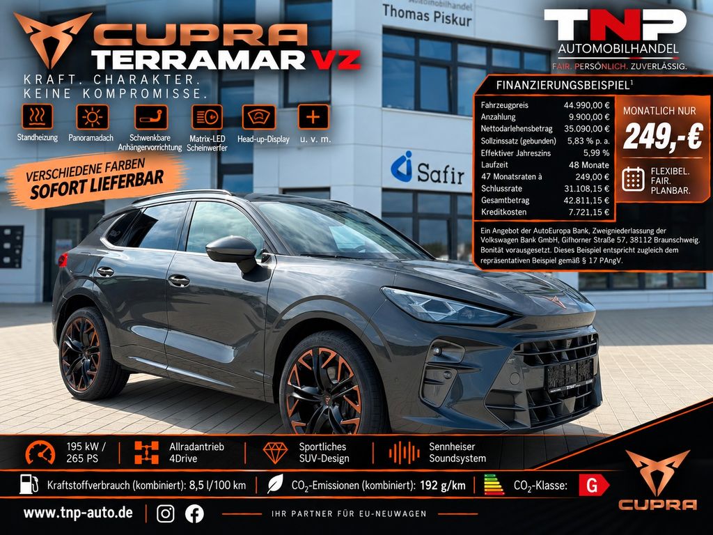 Image of Cupra Terramar
