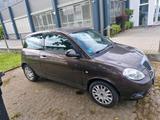 Lancia Ypsilon - Lancia Ypsilon von privat