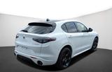 Alfa Romeo Stelvio MY24 TRIBUTO ITALIANO 2.0 Turbo 16V 206 - Alfa Romeo: Italia