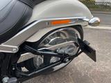 Harley-Davidson Fat Boy FLFB 107 - Harley-Davidson Motorräder in Kassel