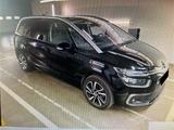 Citroën C4 SpaceTourer BlueHDi 130 S&S SHINE EAT8 - Citroën C4 SpaceTourer: Shine