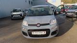 Fiat Panda  Easy 1,0 70 PS MHYB Modagrau - Fiat Panda aus 2021