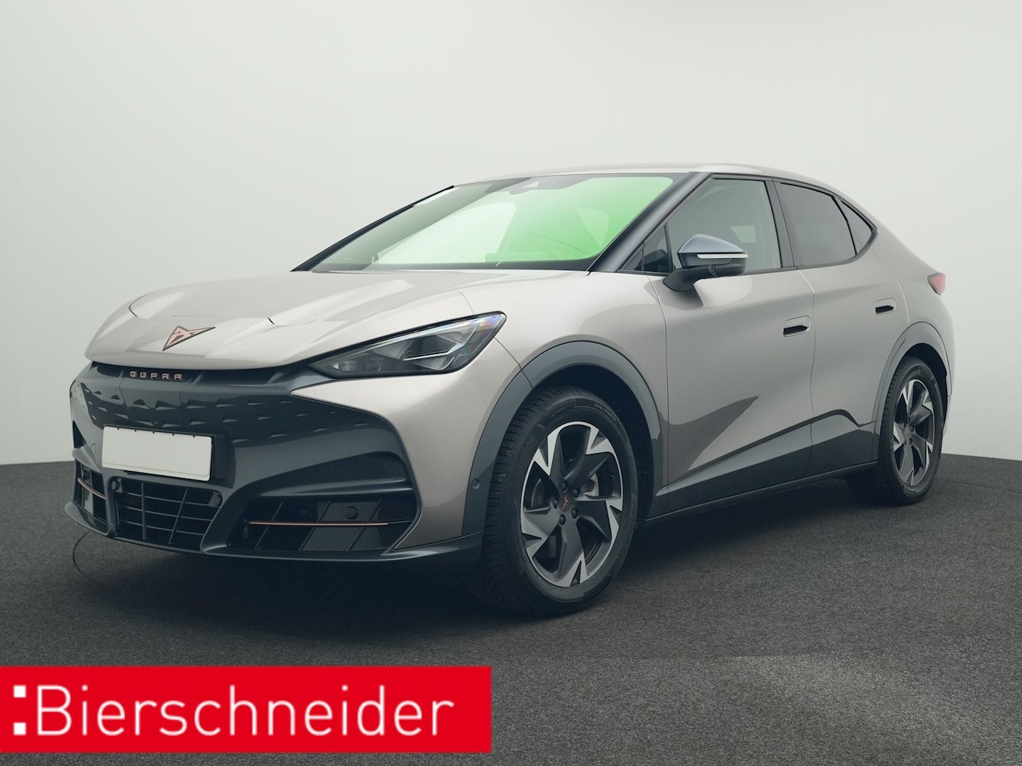 CUPRA Tavascan Endurance ALCANTARA WÄPU 360 NAVI