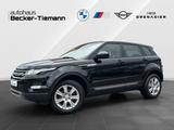 Land Rover Range Rover Evoque*NAVI*AHK*KAMERA*XENON*SPORTSI - Land Rover Range Rover Gebrauchtwagen