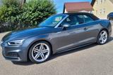 Audi A5 2.0 TDI S tronic Cabriolet design/ WR - Audi A5 mit Diesel-Antrieb: Design