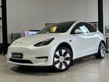 Tesla Model Y Long Range Dual AWD *Autopilot,Leder* - Tesla Model Y in Frankfurt (Main)
