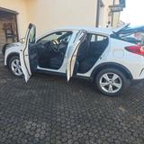 Toyota C-HR 1.2-l-Turbo - - Toyota C-HR von privat