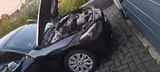 BMW 1er 116i (F20)  5-Türer  TÜV neu - BMW aus 2012: 5er