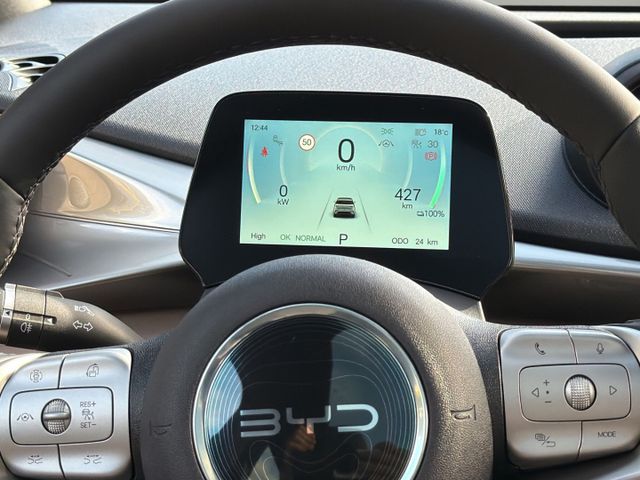 BYD Dolphin Design+Leder+ESitz+ACC+360Kam+Navi+LED+K