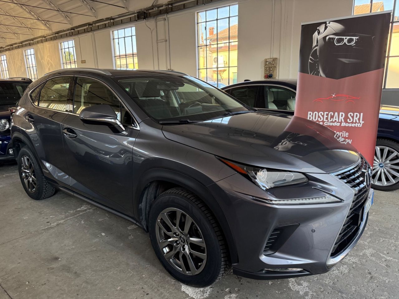 Other Lexus NX 300h Hybrid Business