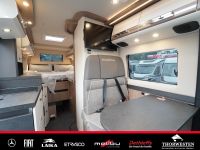 Autohaus Thorwesten Gebrauchtwagen