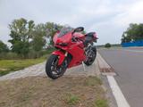 Ducati  Panigale 1299 - gebrauchte Motorräder in Magdeburg