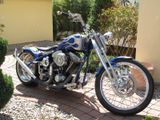 Other TGS Custom-Bike - Offers matching your search criteria