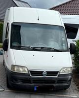 Fiat Ducato - Fiat Ducato in Osnabrück