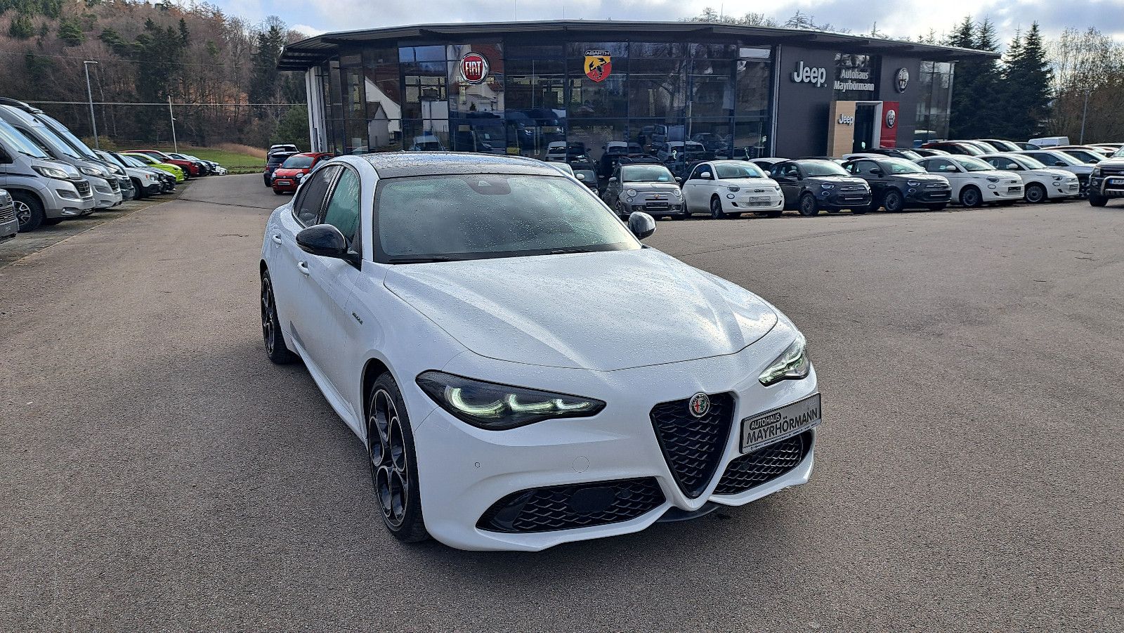 Fahrzeugabbildung Alfa Romeo Giulia Veloce Q4 Diesel Allrad