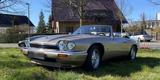 Jaguar XJS 4.0 Cabrio - 3.Serie, BJ 95, AJ... - Jaguar XJS: 4.0