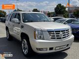Cadillac Escalade/Platinum 6.2 V8 HYB/LEDER/4xSZHG/KAM/ - Cadillac Escalade: Platinum