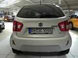 Suzuki Ignis Comfort Servo SHZ Klima DAB Dual Camera - Suzuki Ignis: Kleinwagen