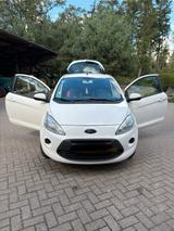 Ford Ka/Ka+ 1,2 Trend - Ideal für Fahranfänger - : Kleinwagen, Für Fahranfänger