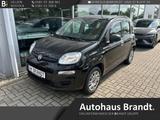 Fiat Panda Easy 1.2 8V DAB Berganfahrass. Klima MP Ta - Fiat Panda: 2t