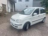 Fiat Panda 1.3 MJT 16V DPF Dynamic SI NEOPATENTA - Fiat Panda Dynamic mit Diesel-Antrieb