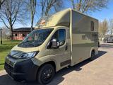 Fiat Ducato mit Original Böckmann Aufbau für 2 Pferde - Offers