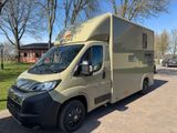 Fiat Ducato mit Original Böckmann Aufbau für 2 Pferde - Angebote entsprechen deinen Suchkriterien