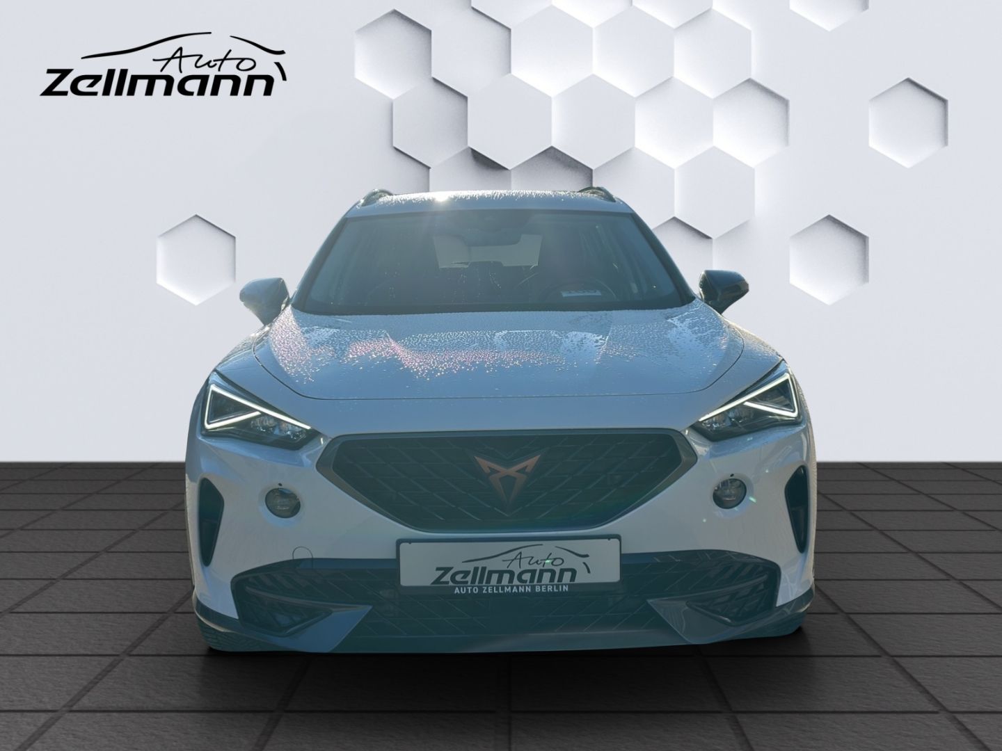 Formentor Basis 1.5TSI 110kW 6-Gang AHZV,LED, GJ