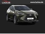 Lexus NX 350h 243 PS - Business Plus Connect - Paket   - Lexus NX 350h Neuwagen