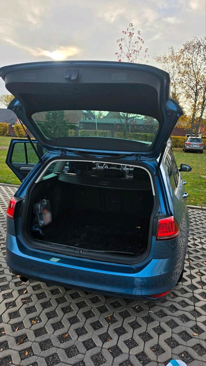 Volkswagen Golf 2014 — interior