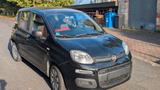 Fiat New Panda 1.2 8V EASY EASY - schwarze Fiat New Panda